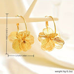 Oversized Gold Hollow Earrings
