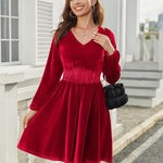 Zeagoo Women's Elegant Velvet Dress Winter Dress (DE Only)