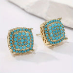 Distinguished Turquoise Earrings