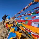 Buddha Stones Tibetan 5 Colors Windhorse Auspicious Outdoor 25 Pcs Prayer Flag