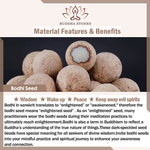 Buddha Stones Natural Bodhi Seed Red Agate Bodhi Calm Harmony Engraved Pumpkin Bead Lotus Bracelet
