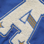 Varsity Embroidered Baseball Jacket