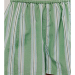 Parker Stripe Shorts