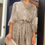 Zeagoo Women's Casual Loose Sequin Party Dress