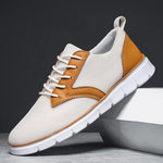 Dawson 2.0 Mesh Sneakers