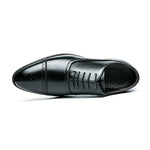 Classic Oxford Brogue