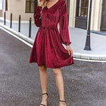 Zeagoo Velvet Dress V-Neck Long Sleeve Stretch Mini Dress