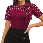 Zeagoo Women's Casual Tie Neck Tunic Blouse Tops