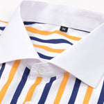 Long Sleeve Stripe Button Up Winchester Shirt