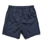 Palm Tree Island Print Button Up Shirt & Striped Print Swim Shorts