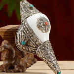 Tibetan Natural Shankha Conch Shell Seashell Wealth Lucky Home Decoration