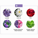 Buddha Stones 6Pcs Lavender Orange Jasmine Lemongrass Soothing Aromatherapy Healing Essential Oils Set