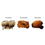 Buddha Stones Tibetan Natural Yak Bone The Lord Of The Corpse Forest Dice Chinese Zodiac Nine Palaces Eight Diagrams Strength Wrist Mala (Extra 35% Off | USE CODE: FS35)