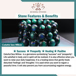 Buddha Stones "Cheers to Fortune and Protection" PiXiu Bracelet Includes Gift Message Card