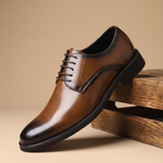 The Ledger Dress Oxford